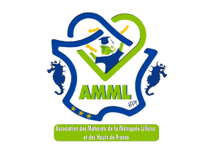 amml